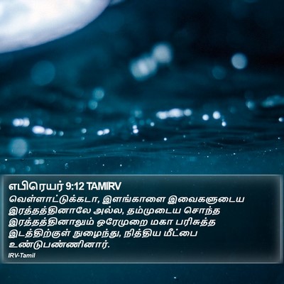எபிரெயர் 9:12 TAMIRV Bible Verse Image