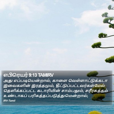எபிரெயர் 9:13 TAMIRV Bible Verse Image