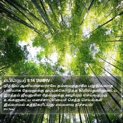எபிரெயர் 9:14 TAMIRV Bible Verse Image