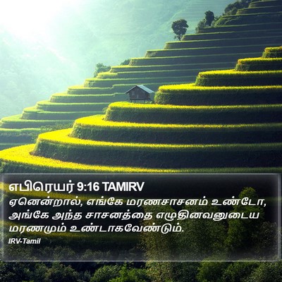எபிரெயர் 9:16 TAMIRV Bible Verse Image