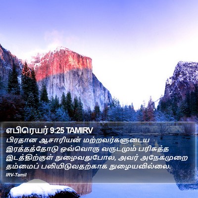எபிரெயர் 9:25 TAMIRV Bible Verse Image