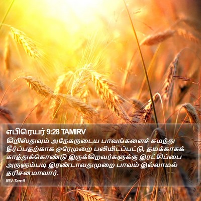 எபிரெயர் 9:28 TAMIRV Bible Verse Image