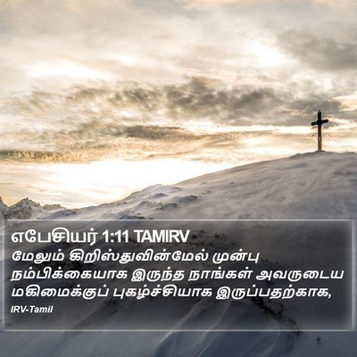 எபேசியர் 1:11 TAMIRV Bible Verse Image
