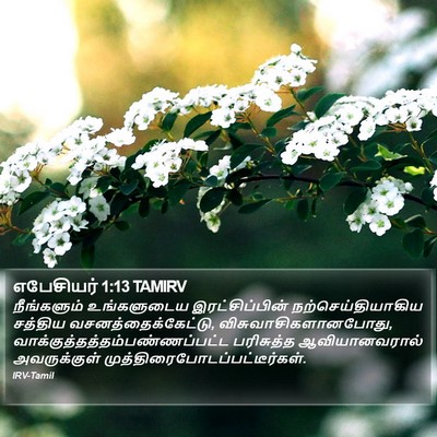 எபேசியர் 1:13 TAMIRV Bible Verse Image