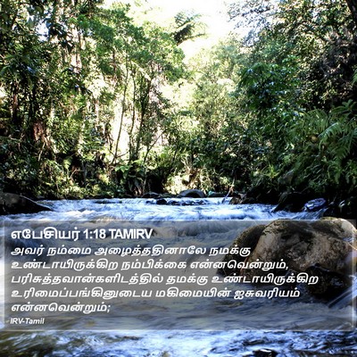 எபேசியர் 1:18 TAMIRV Bible Verse Image