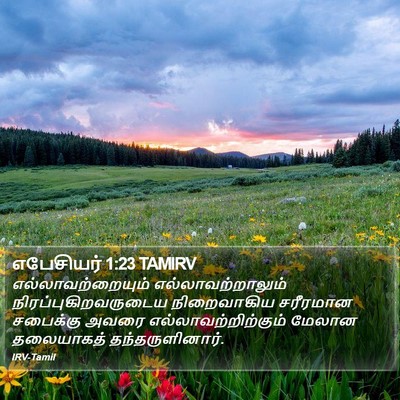 எபேசியர் 1:23 TAMIRV Bible Verse Image