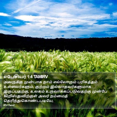 எபேசியர் 1:4 TAMIRV Bible Verse Image