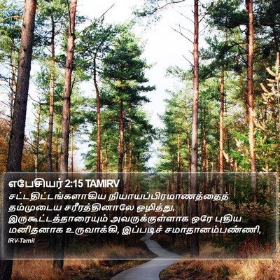 எபேசியர் 2:15 TAMIRV Bible Verse Image