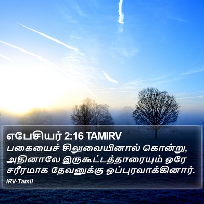 எபேசியர் 2:16 TAMIRV Bible Verse Image