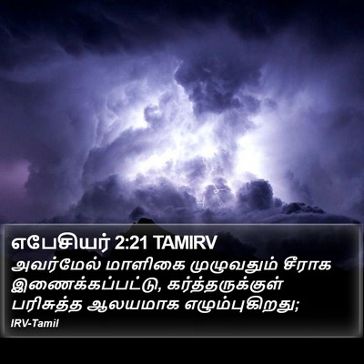 எபேசியர் 2:21 TAMIRV Bible Verse Image