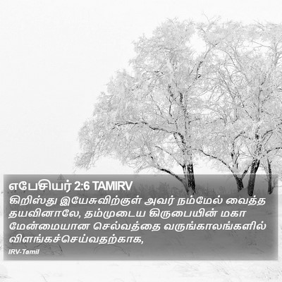 எபேசியர் 2:6 TAMIRV Bible Verse Image