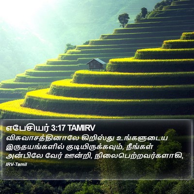 எபேசியர் 3:17 TAMIRV Bible Verse Image