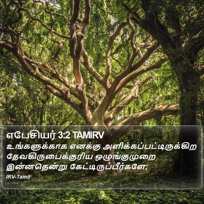 எபேசியர் 3:2 TAMIRV Bible Verse Image