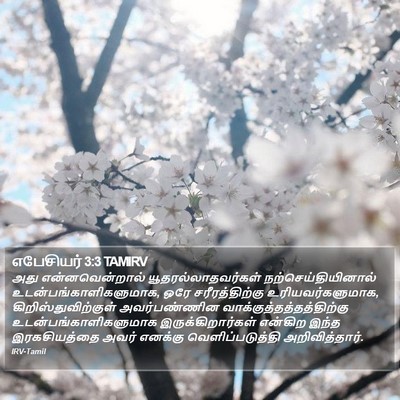 எபேசியர் 3:3 TAMIRV Bible Verse Image