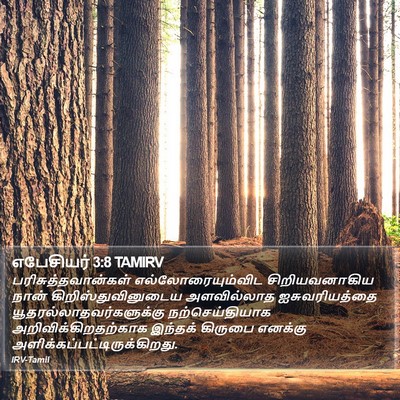 எபேசியர் 3:8 TAMIRV Bible Verse Image