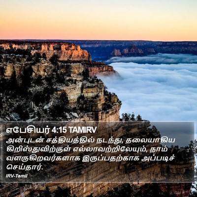 எபேசியர் 4:15 TAMIRV Bible Verse Image