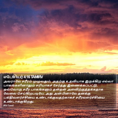 எபேசியர் 4:16 TAMIRV Bible Verse Image