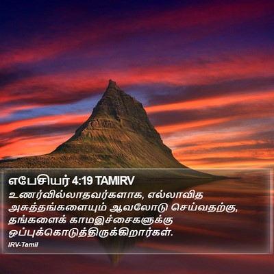 எபேசியர் 4:19 TAMIRV Bible Verse Image