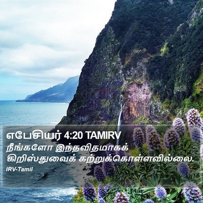 எபேசியர் 4:20 TAMIRV Bible Verse Image