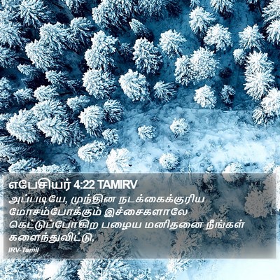 எபேசியர் 4:22 TAMIRV Bible Verse Image
