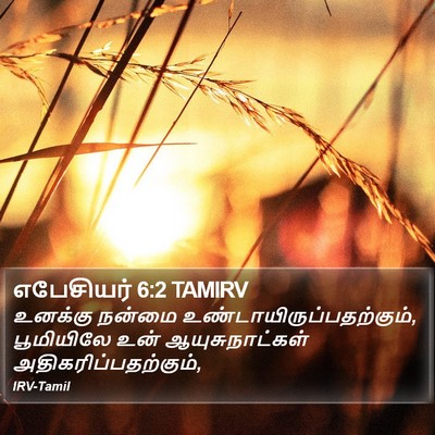 எபேசியர் 6:2 TAMIRV Bible Verse Image