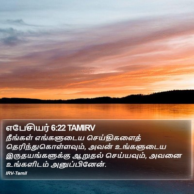 எபேசியர் 6:22 TAMIRV Bible Verse Image
