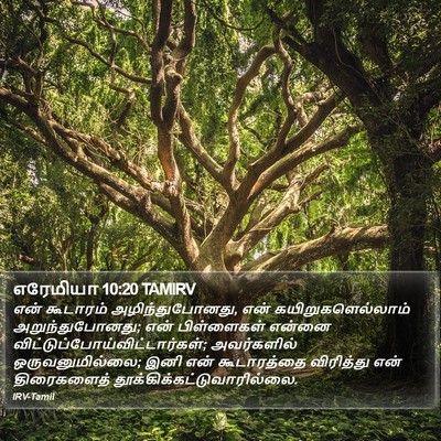 எரேமியா 10:20 TAMIRV Bible Verse Image