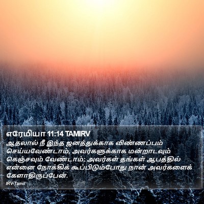 எரேமியா 11:14 TAMIRV Bible Verse Image