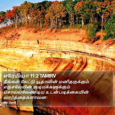 எரேமியா 11:2 TAMIRV Bible Verse Image