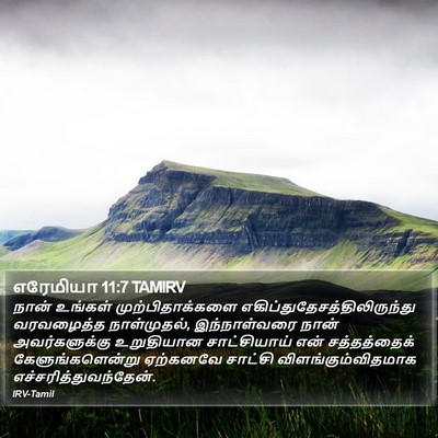எரேமியா 11:7 TAMIRV Bible Verse Image