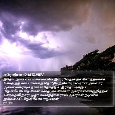 எரேமியா 12:14 TAMIRV Bible Verse Image