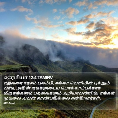 எரேமியா 12:4 TAMIRV Bible Verse Image