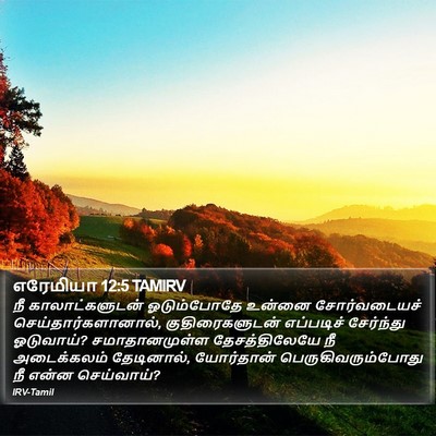 எரேமியா 12:5 TAMIRV Bible Verse Image