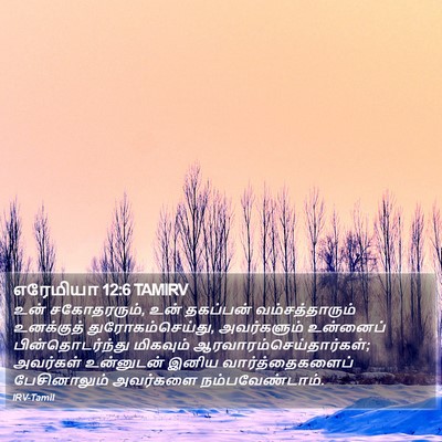 எரேமியா 12:6 TAMIRV Bible Verse Image