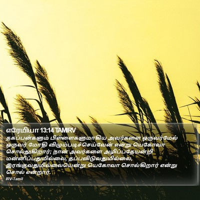 எரேமியா 13:14 TAMIRV Bible Verse Image
