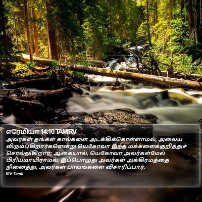 எரேமியா 14:10 TAMIRV Bible Verse Image