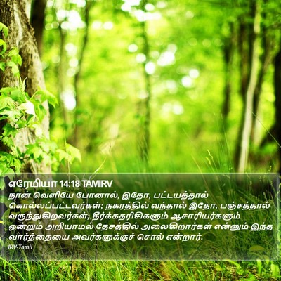 எரேமியா 14:18 TAMIRV Bible Verse Image