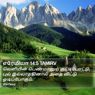 எரேமியா 14:5 TAMIRV Bible Verse Image