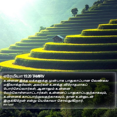 எரேமியா 15:20 TAMIRV Bible Verse Image