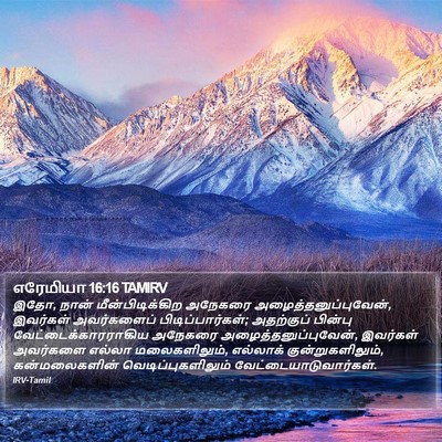 எரேமியா 16:16 TAMIRV Bible Verse Image