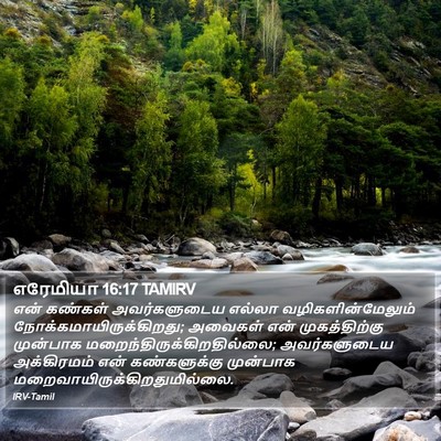 எரேமியா 16:17 TAMIRV Bible Verse Image