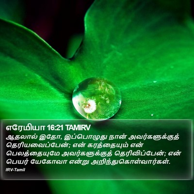 எரேமியா 16:21 TAMIRV Bible Verse Image