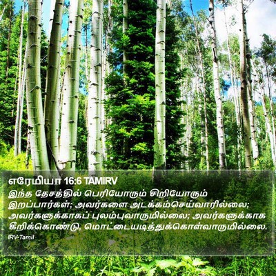 எரேமியா 16:6 TAMIRV Bible Verse Image