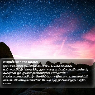 எரேமியா 17:13 TAMIRV Bible Verse Image