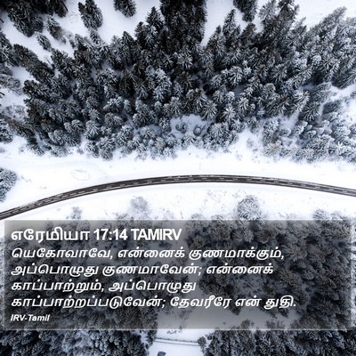 எரேமியா 17:14 TAMIRV Bible Verse Image