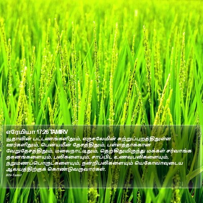 எரேமியா 17:26 TAMIRV Bible Verse Image