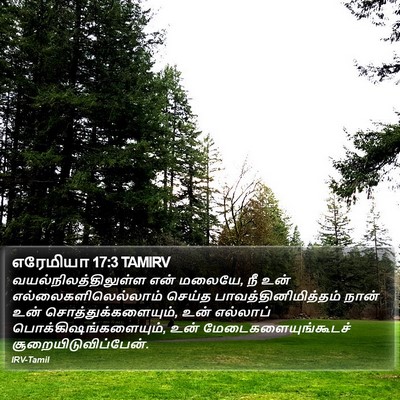 எரேமியா 17:3 TAMIRV Bible Verse Image