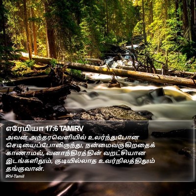 எரேமியா 17:6 TAMIRV Bible Verse Image