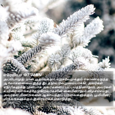 எரேமியா 19:7 TAMIRV Bible Verse Image