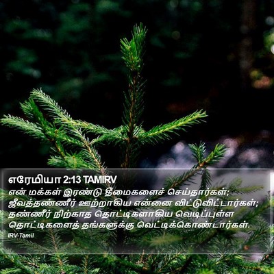 எரேமியா 2:13 TAMIRV Bible Verse Image